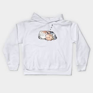 Dreaming cat Kids Hoodie